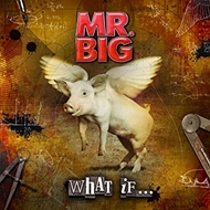 MR_BIG